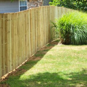 outside of privacy fence next to shrub