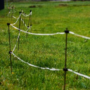 electric-fence