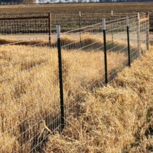 field fence
