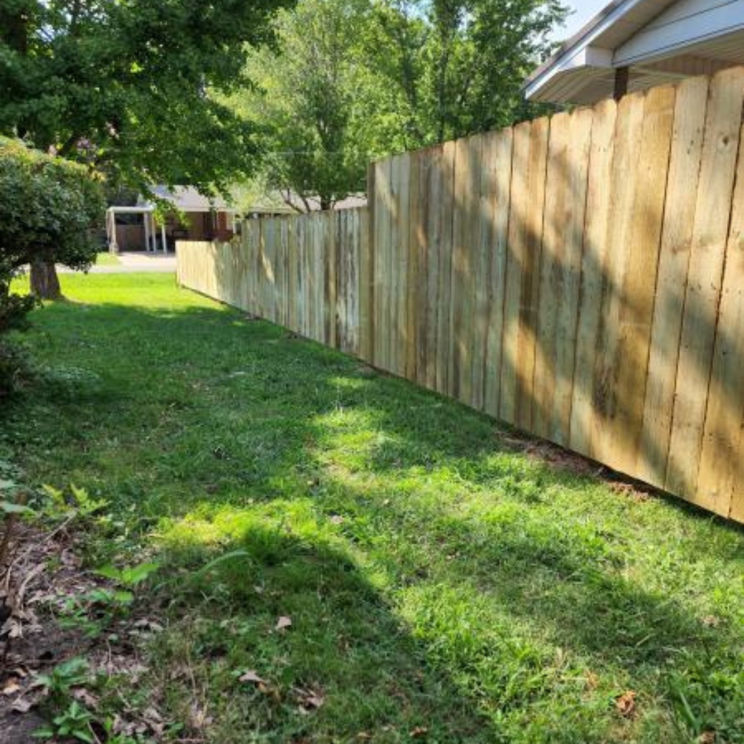 light wood privacy fence