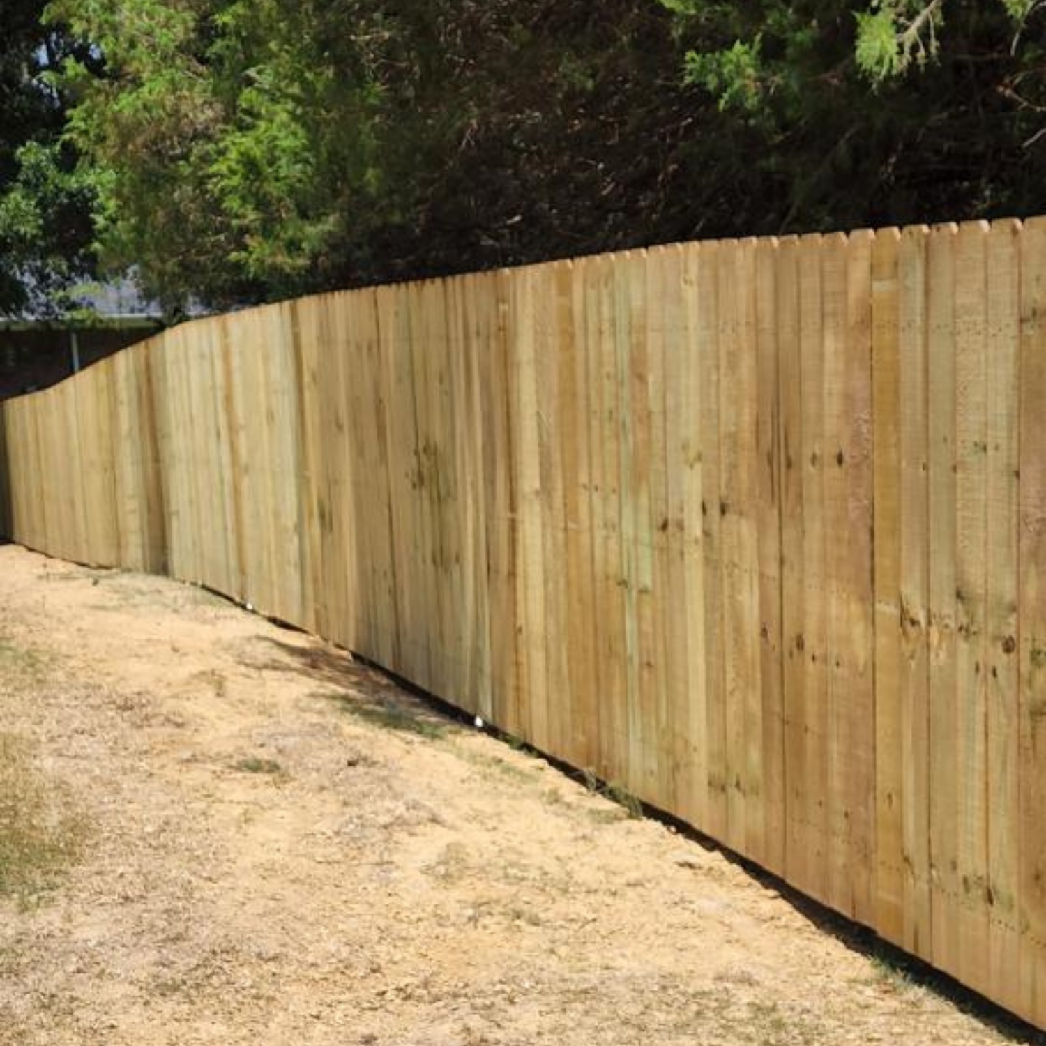 light wood privacy fence